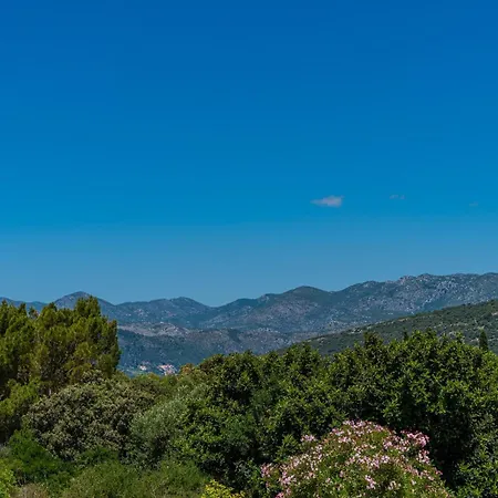 Appartement Ana N *
